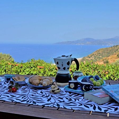 Вилла Terrazza Degli Angeli Ашеа Экстерьер фото