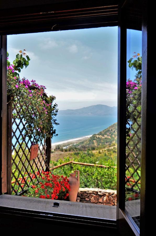 Вилла Terrazza Degli Angeli Ашеа Экстерьер фото